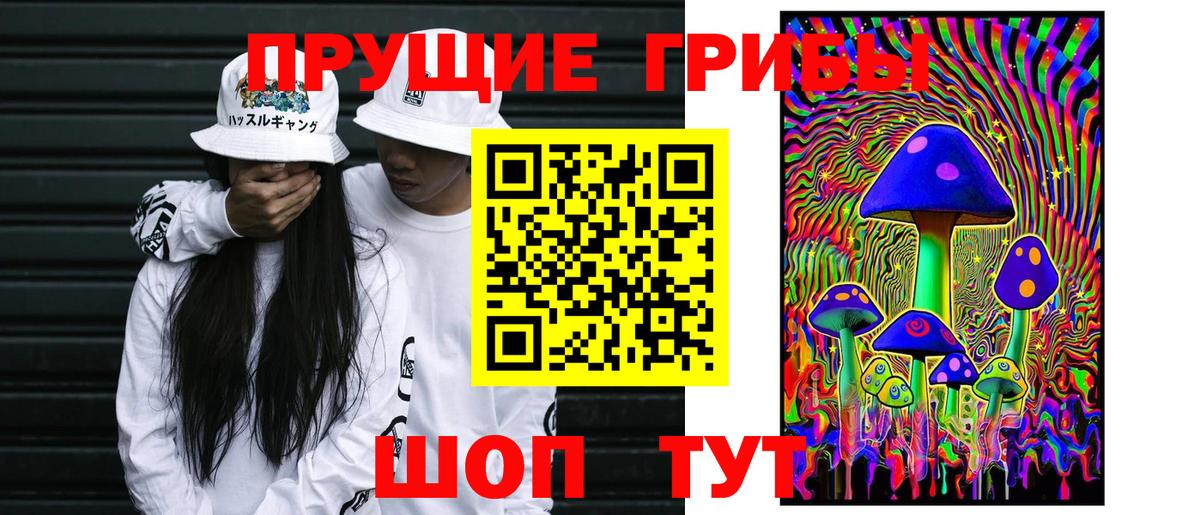Галлюциногенные грибы Cubensis Краснокаменск