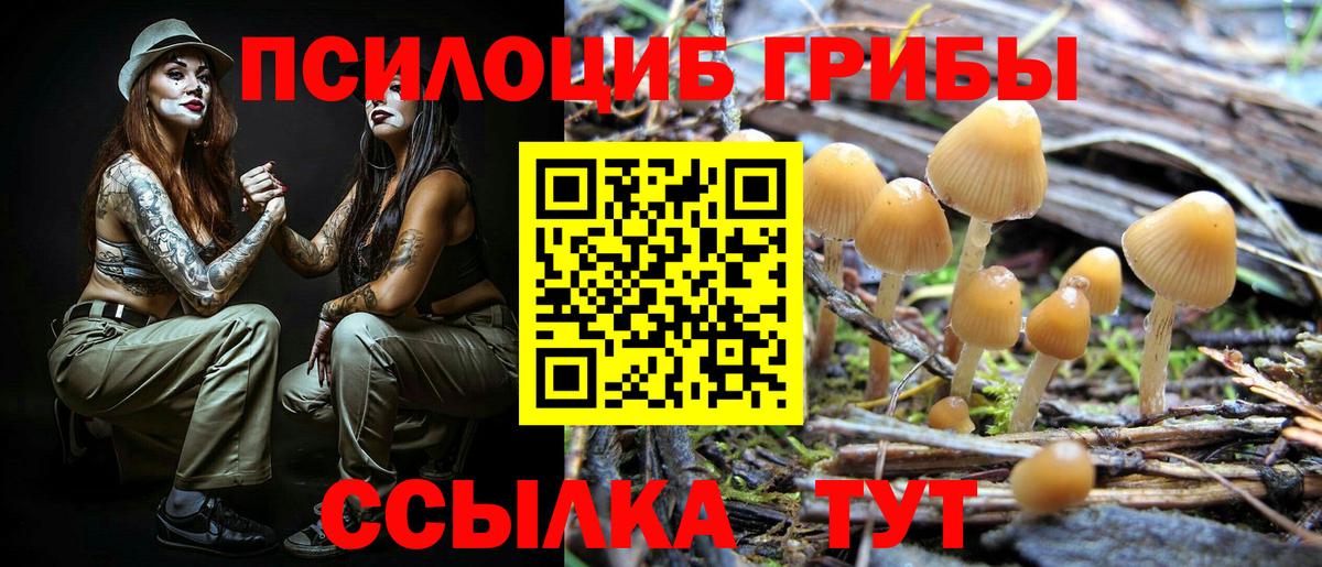 Галлюциногенные грибы MAGIC MUSHROOMS  Вход с VPN  закладка  Краснокаменск 
